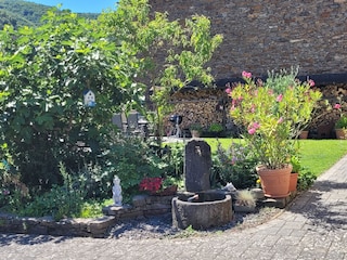 Blick in den Garten vom Hof/ Stellplatz aus