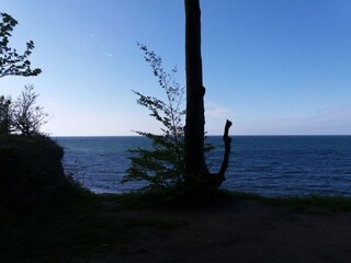 Vakantieappartement Heringsdorf (Ostholstein) Omgeving 30