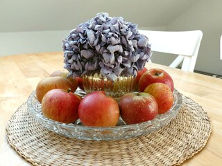 Vakantieappartement Heringsdorf (Ostholstein) Kenmerken 11