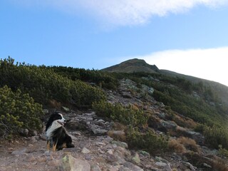 Appartamento per vacanze Deutschnofen Ambiente 33