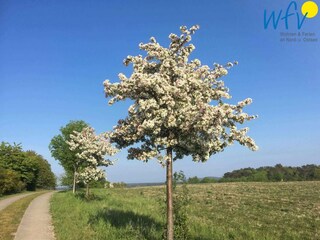 Vakantiehuis Lancken-Granitz Buitenaudio-opname 9