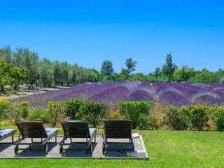 Casa per le vacanze Juršići Registrazione all'aperto 18