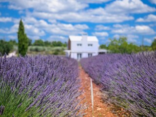 Casa per le vacanze Juršići Registrazione all'aperto 19