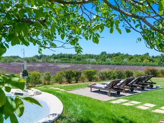 Casa per le vacanze Juršići Registrazione all'aperto 6