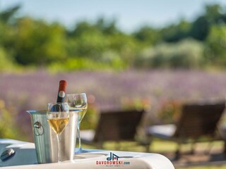 Casa per le vacanze Juršići Registrazione all'aperto 15