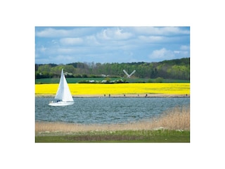 Schlei/ Raps