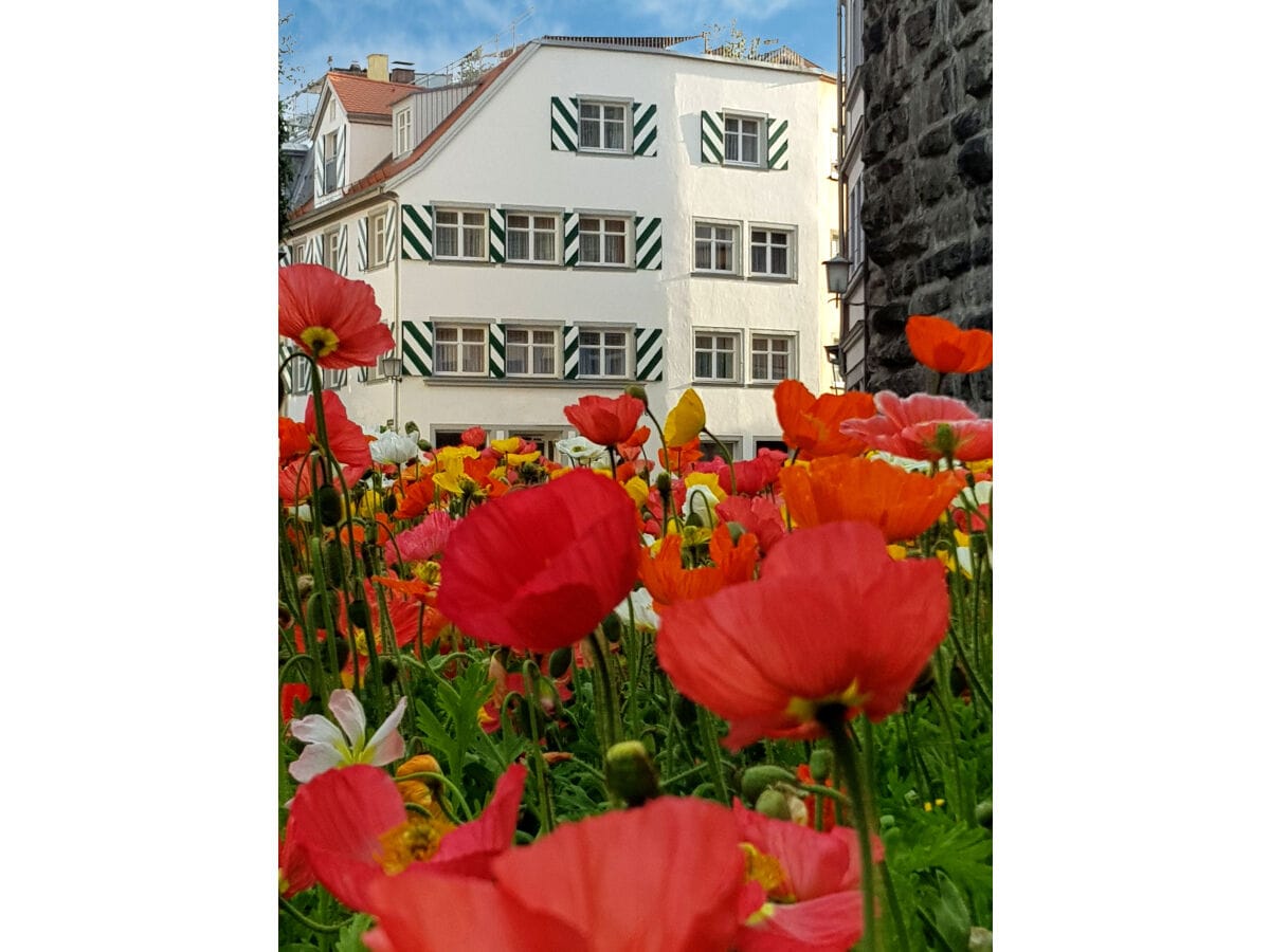 Blumeninsel Lindau