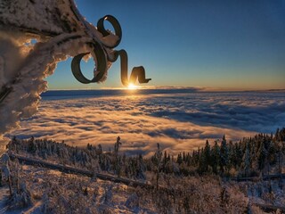 Apartment Malsburg-Marzell Environment 35