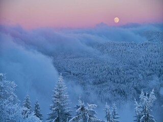 Appartement Malsburg-Marzell Environnement 19