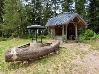 Apartment Malsburg-Marzell Outdoor Recording 6