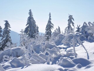 Appartement Malsburg-Marzell Environnement 21