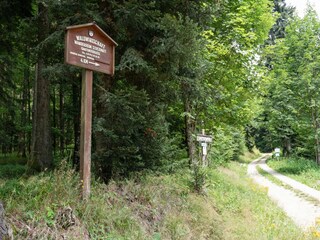 Appartement Malsburg-Marzell Environnement 28