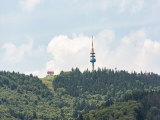 Apartamento Malsburg-Marzell Entorno 22