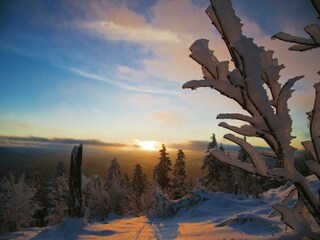 Appartement Malsburg-Marzell Environnement 30