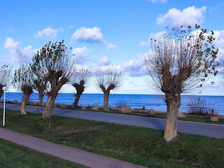 einfach genießen :-)