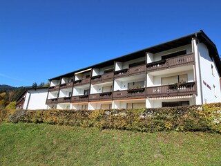 Appartamento Kirchberg in Tirol  30