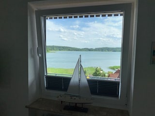 ... und durch das Fenster zum See
