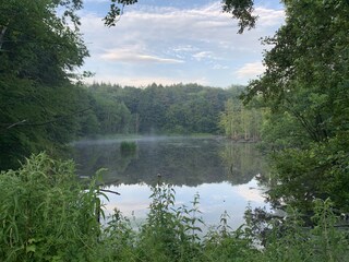 Das nahe gelegene Moor und der Wald ideal zum Wandern