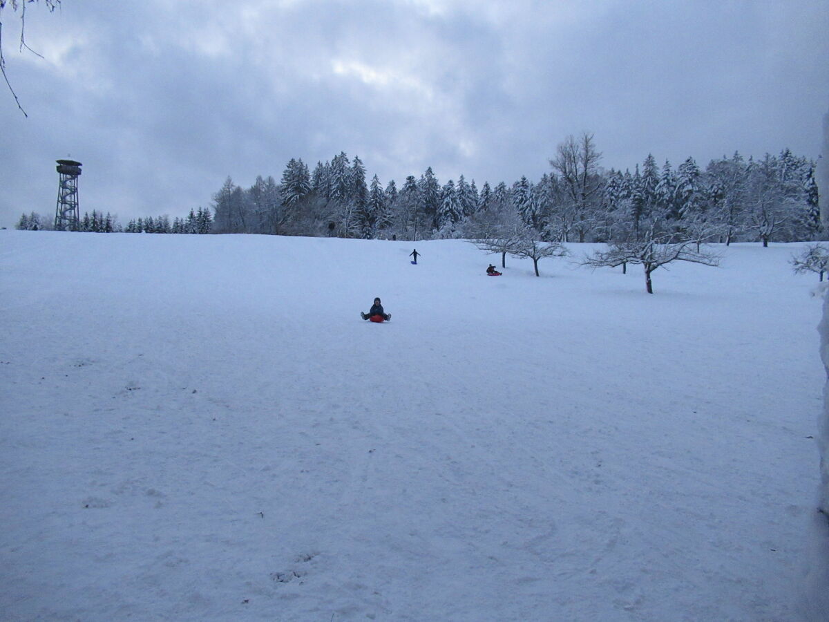 Rodelhang - 300m von der Fewo