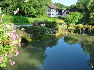 Casa per le vacanze Oltingue Ambiente 14