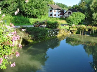 Casa per le vacanze Oltingue Ambiente 19