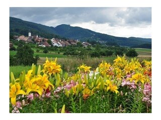 Casa per le vacanze Oltingue Ambiente 13