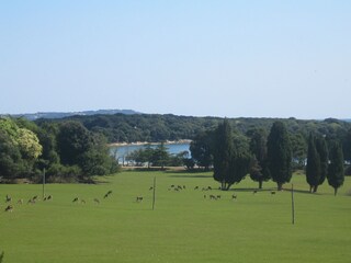 Villa Pula Ambiente 38