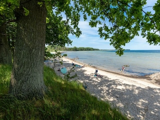 Maison de vacances Zierow Environnement 34