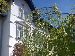 Appartamento per vacanze Zittau Registrazione all'aperto 11