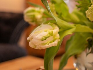 Appartamento per vacanze Zittau Documento 43