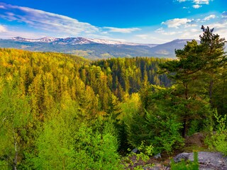 Appartamento per vacanze Zittau Ambiente 40