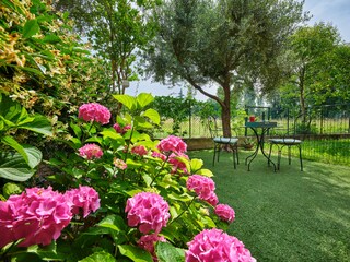 Apartment Lazise Umgebung 40