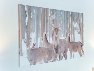 Appartement Kirchberg in Tirol  32