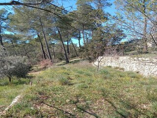 Vakantiehuis La Seyne-sur-Mer Omgeving 25