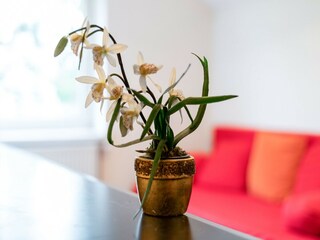 Casa per le vacanze Floridsdorf  23