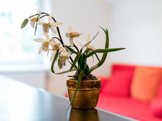 Casa de vacaciones Floridsdorf  19