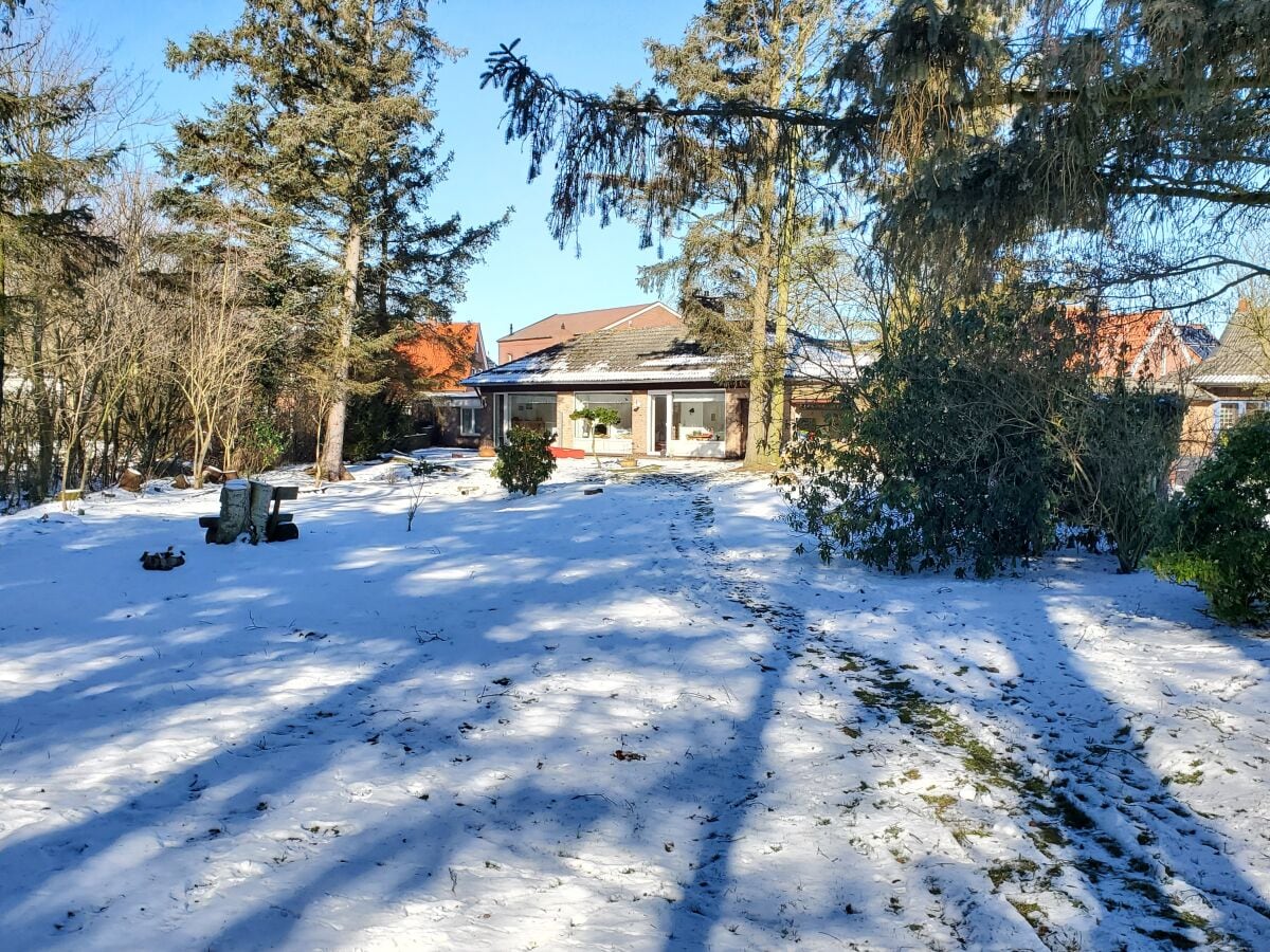 Garten im Winter