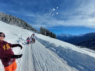 Vakantieappartement Ramsau im Zillertal Buitenaudio-opname 6