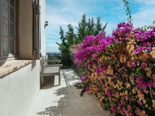 Villa Mandelieu-la-Napoule Grabación al aire libre 5