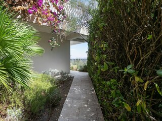 Villa Mandelieu-la-Napoule Grabación al aire libre 9