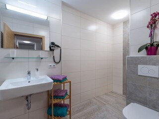 Appartamento per vacanze Ramsau im Zillertal Caratteristiche 13