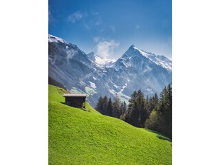 Vakantieappartement Ramsau im Zillertal Omgeving 17