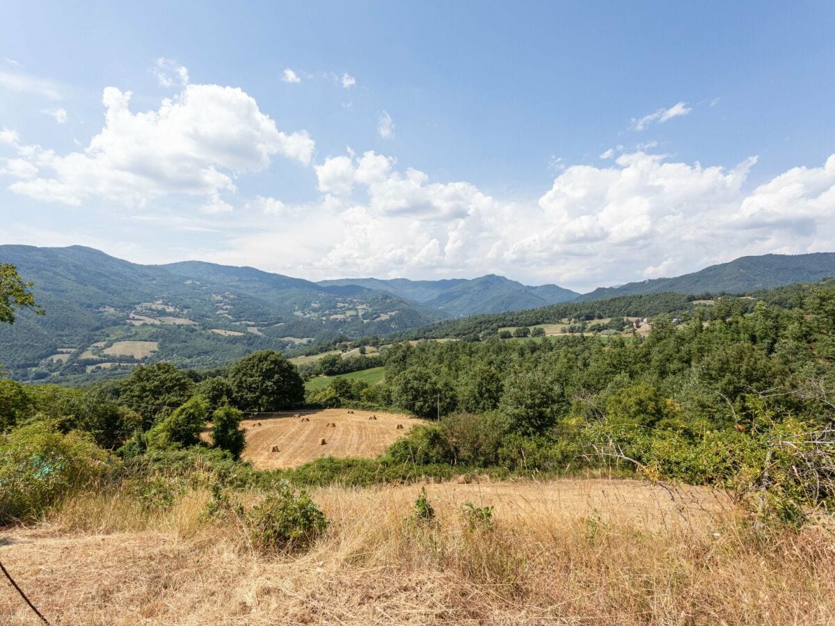 Ferienhaus Caprese Michelangelo Außenaufnahme 12