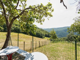 Ferienhaus Caprese Michelangelo Außenaufnahme 3