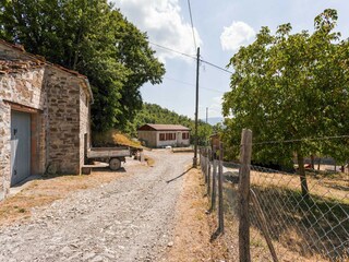 Ferienhaus Caprese Michelangelo Umgebung 37