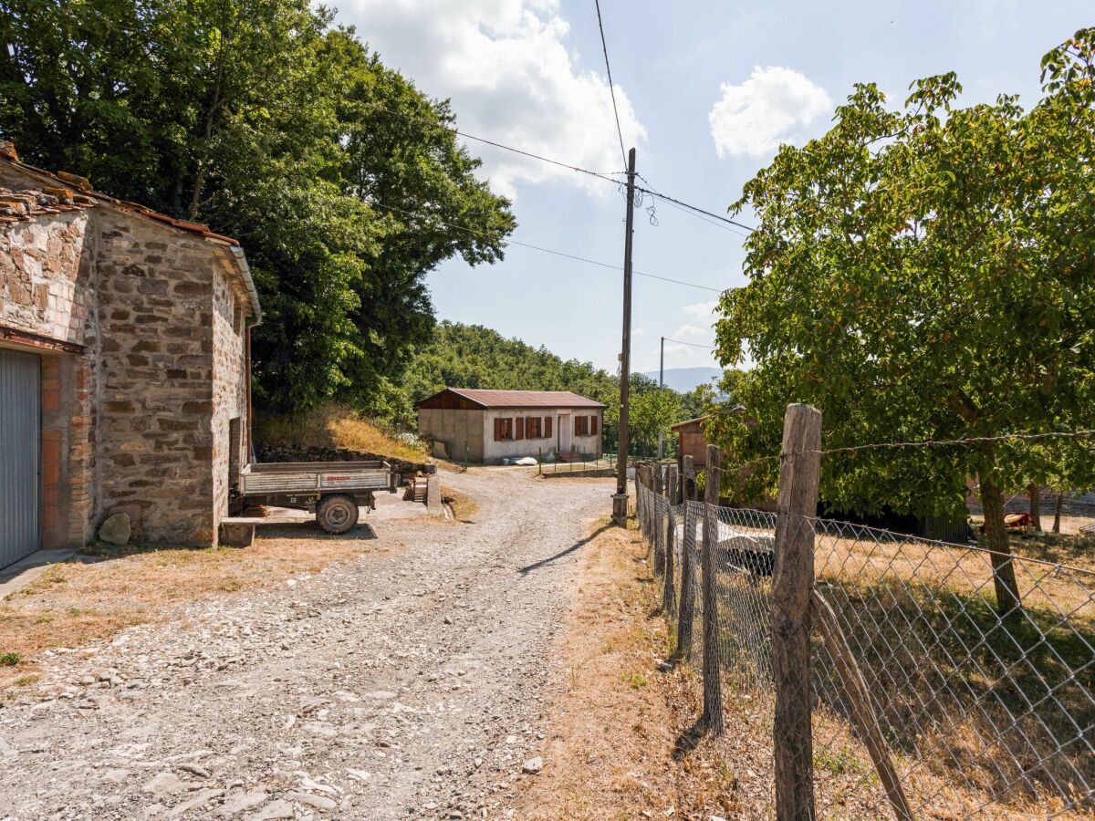 Ferienhaus Caprese Michelangelo Umgebung 33