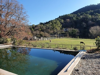 Villa Bargemon Außenaufnahme 6