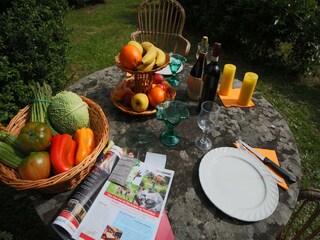 Fattoria Rufina Registrazione all'aperto 9
