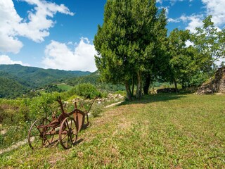 Holiday house Mercatello sul Metauro Environment 37
