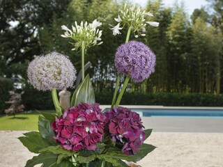 Villa Gardone Riviera Buitenaudio-opname 1